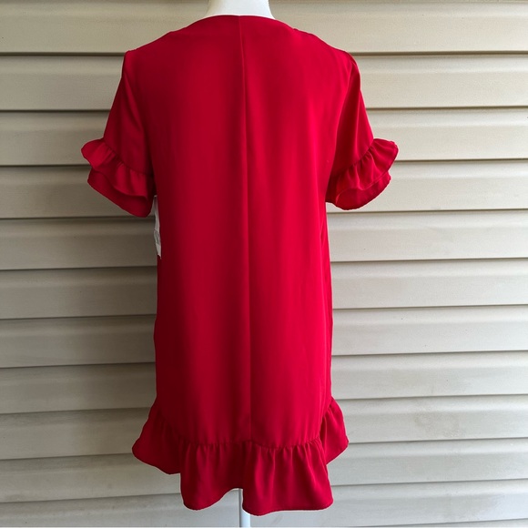 •Zara• NWT Ruffled Shift Dress - Size Small - Picture 5 of 8